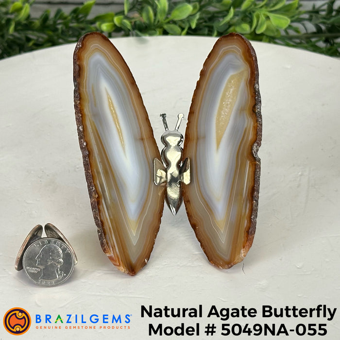 Agate / 5049NA-055