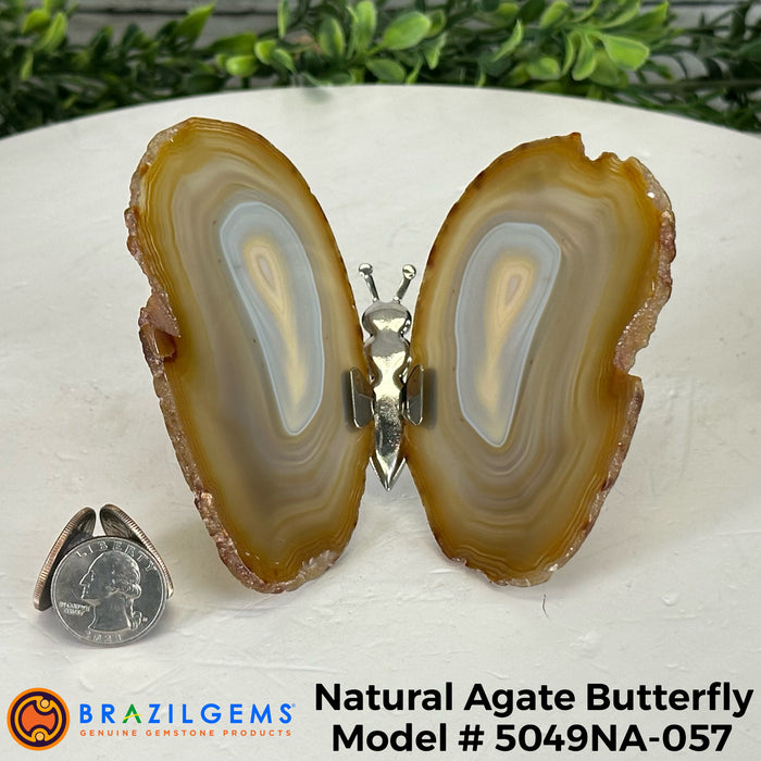 Agate / 5049NA-057