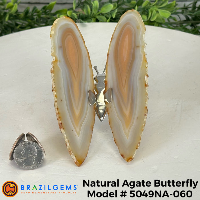 Agate / 5049NA-060