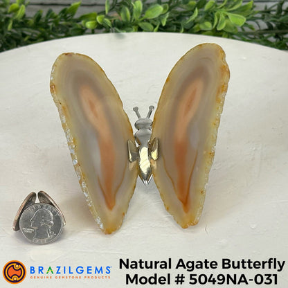 Small Natural Brazilian Agate "Butterfly Wings", ~4" Length #5049NA - Brazil GemsBrazil GemsSmall Natural Brazilian Agate "Butterfly Wings", ~4" Length #5049NAAgate Butterfly Wings5049NA-031