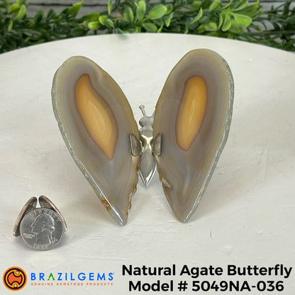 Small Natural Brazilian Agate "Butterfly Wings", ~4" Length #5049NA - Brazil GemsBrazil GemsSmall Natural Brazilian Agate "Butterfly Wings", ~4" Length #5049NAAgate Butterfly Wings5049NA-036