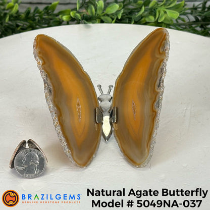 Small Natural Brazilian Agate "Butterfly Wings", ~4" Length #5049NA - Brazil GemsBrazil GemsSmall Natural Brazilian Agate "Butterfly Wings", ~4" Length #5049NAAgate Butterfly Wings5049NA-037