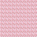 Smitten Chicken Pink Wild Phlox
