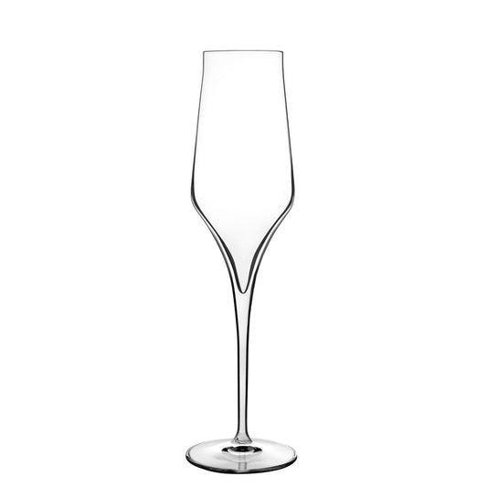 Italian Premium Champagne Glasses | 8oz | Supremo | Set of 2 - Luigi Bormioli USA