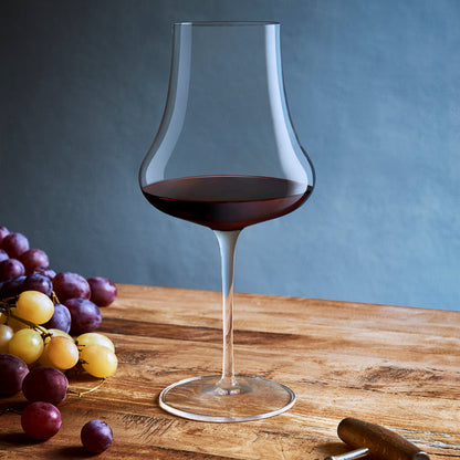Italian Premium Merlot Red Wine Glasses | 19.25oz | Tentazioni | Set of 6 - Luigi Bormioli USA