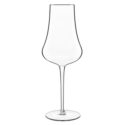 Italian Premium Flute Glasses | 14.25oz | Tentazioni | Set of 6 - Luigi Bormioli USA