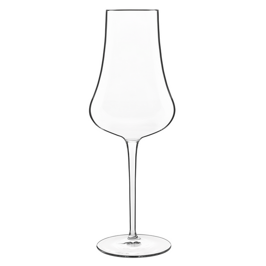 Italian Premium Flute Glasses | 14.25oz | Tentazioni | Set of 6 - Luigi Bormioli USA