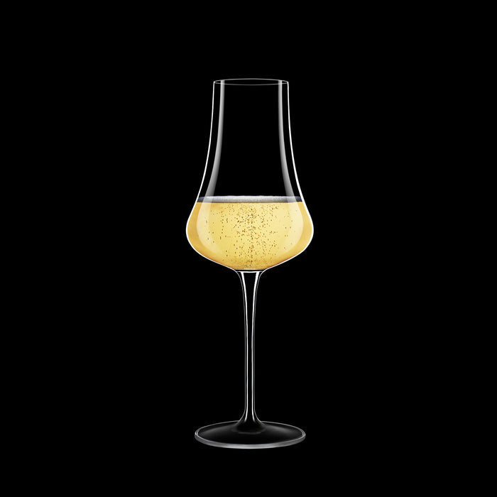 Italian Premium Flute Glasses | 14.25oz | Tentazioni | Set of 6 - Luigi Bormioli USA