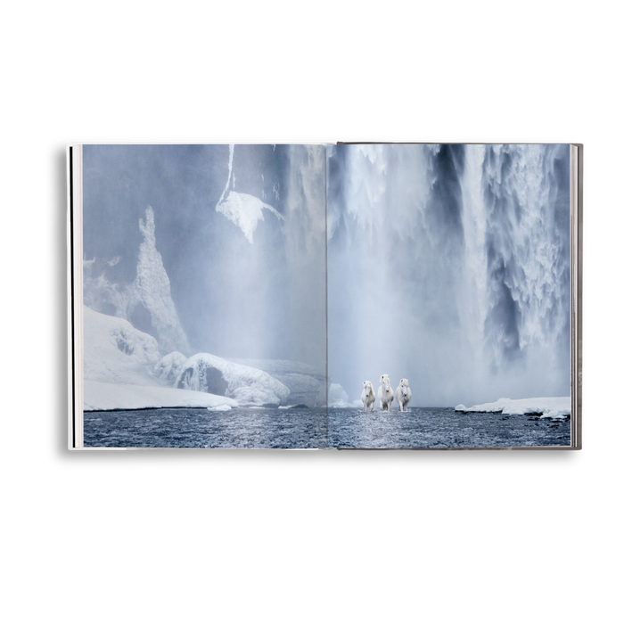 Untamed Spirits: Horses From Around the World