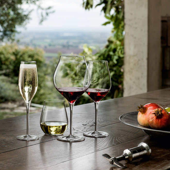 Italian Premium Stemless Wine Glasses | 14.5oz | Vinea | Set of 2 - Luigi Bormioli USA