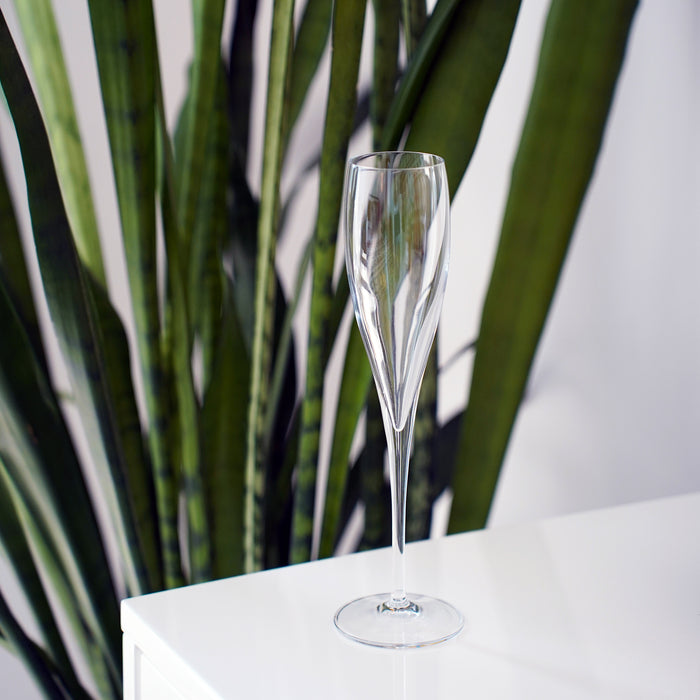 Empty Vinoteque Flute standing on a white surface with a plant in the background