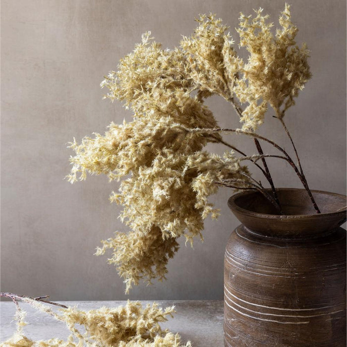 Wild Fog Grass