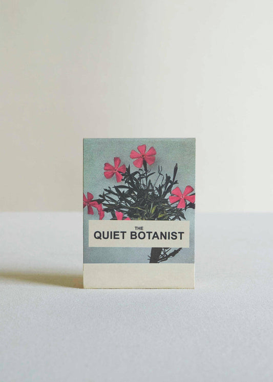 Wild Pink (Silene caroliniana) Botanical Matches